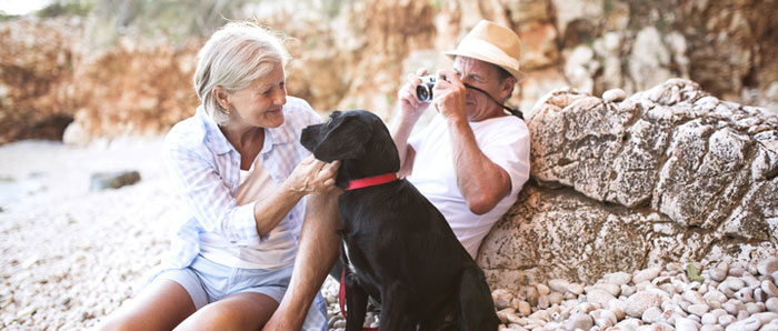 older couple man and woman sitting with dog on the beach